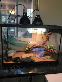 a fish tank with rocks and plants in it