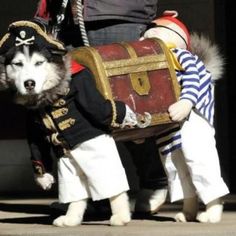 a dog dressed up as a pirate carrying a chest with a man on it's back