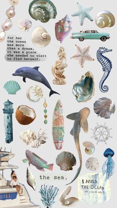 an assortment of seashells and shells are shown in this image with the words, i miss the ocean