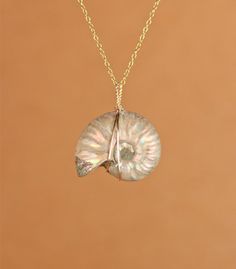 Ammonite necklace  opal necklace  shell necklace  by BubuRuby Shell Pendant Necklace, Opalized Ammonite, Ammonite Necklace, Ammonite Shell, Healing Room, Necklace Shell, Spiral Shell, Necklace Opal, Raw Crystals