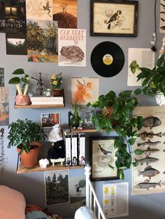 there are many pictures and plants on the wall