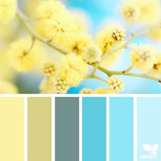 the color scheme is yellow and blue, with some white flowers on top of it