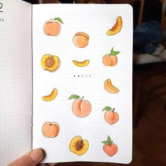 a hand holding a notebook with drawings of peaches and oranges