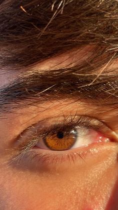 Hazel Brown Eyes, Honey Eyes, Brown Eyes Aesthetic, Brown Hair Boy, Brown Eye Boys, Pretty Brown Eyes, Travel Entertainment, Amber Eyes, Brown Hair Brown Eyes