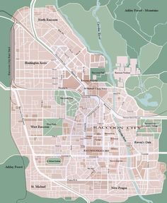 a map of the city of raccoon city, with all streets and major roads