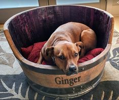 a brown dog laying in a wooden barrel bed