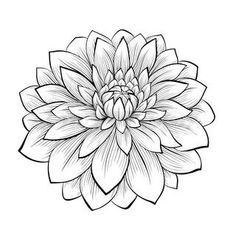 a black and white drawing of a large flower with leaves on it's petals