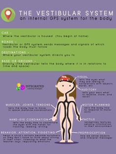 Vestibular Activities, Vestibular System