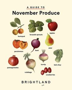 a guide to november produce by brightland