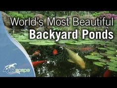 the words world's most beautiful backyard pond