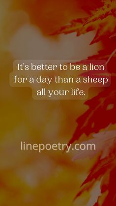 an orange and yellow background with the words it's better to be a lion for a day than a sheep all your life