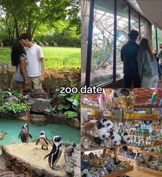 Platonic Date Ideas, Couple Day Date Ideas, Zoo Date, Couple Dates