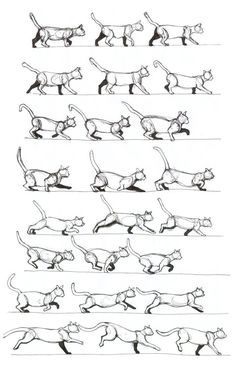 an image of cats in different positions and sizes on the same page, with one cat running