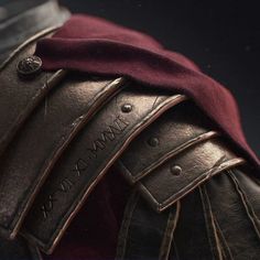 a close up view of the back of a leather armor with red velvet on it