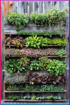 a vertical garden wall made out of pallets with plants growing on the top and bottom