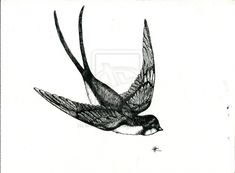 a black and white drawing of a bird flying