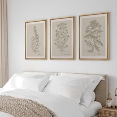 three framed pictures hang above a bed with white linens and pillows, along with a wicker basket