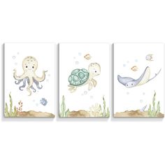 three paintings of sea animals and an octopus