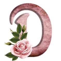 the letter g is decorated with pink roses and leaves on it's lowercase