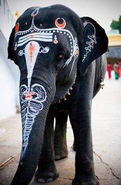 an elephant painted with designs on it's face