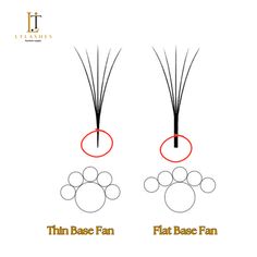 THIN BASE FANS VS FLAT BASE FANS  A thin base will make your work look tidy, you can attach a thin based fan on top of the natural lash, to the side and from the bottom and so is flexible when it comes to attachment, a flat based fan will create a darker impression along the lash line but can only be place on top of and underneath the natural lash.   #lashtips #eyelashesextension #lashes #lashextention #lashlove #ltlashessupply #ltlashes #lashtech #lashtechnician#thinbasefans #flatbasefans Lash Notes, Lash Tips, Esthetics Room, Natural Lashes, Eyelash Extensions, Eyelashes