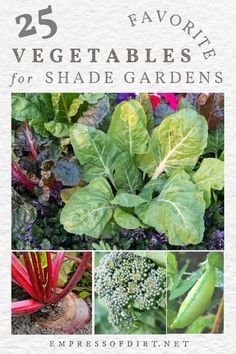 25 favorite vegetables for shade gardens