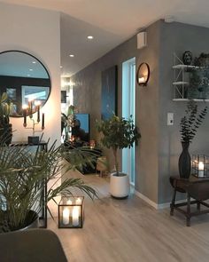 a living room filled with furniture and lots of plants