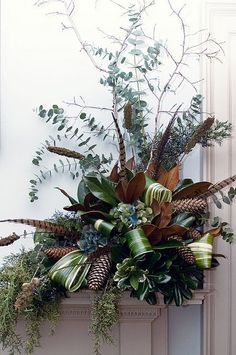 a bunch of plants that are sitting on a mantle