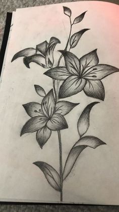 a drawing of some flowers on a piece of paper