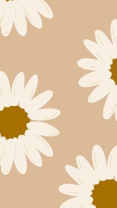 white daisies on a tan background with brown centers in the center and bottom petals