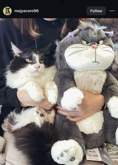 a woman is holding two stuffed cats in her arms, both with their paws on the cat's chest