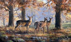 three deer are standing in the woods by some trees and water with fall leaves on them