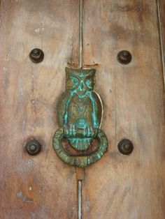 an owl door knocker on a wooden door with knobs and handles in green patina