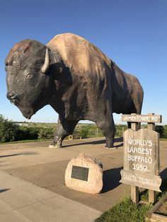 a statue of an animal is in the middle of a park with a sign that says world's largest buffalo