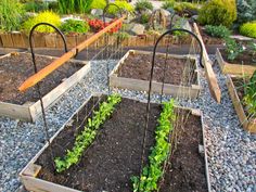 a garden filled with lots of different types of vegetables and plants growing in the ground