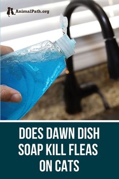 a hand holding a soapy blue liquid in front of a kitchen faucet with the words does dawn dish soap kill fleas on cats