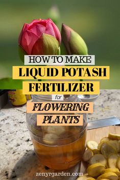 how to make liquid potash fertilizer for flowering plants