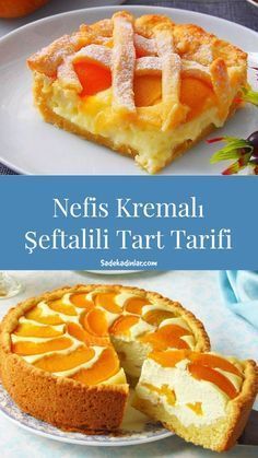 the cover of nefis kremal seffalli art tarifi