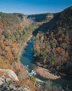 a river running through a lush green forest filled with lots of trees on top of a hillside