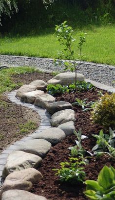 a garden with rocks and plants in the center, along side a path that leads to a grassy area