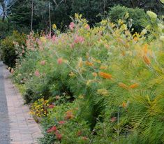 colorful plants and flowers line the sidewalk in front of trees