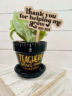 a potted plant with some wooden signs in it