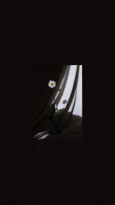 a small white flower sitting on top of a table