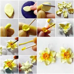 there are many different pictures of flowers being made