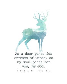 a deer with the words as a deer pants for streams of water, so my soul pants for you, my god