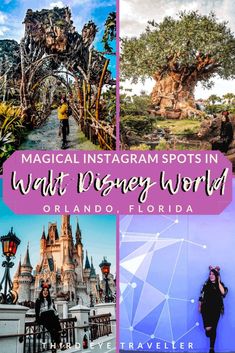 disney world with text overlay that says, magic instagram spots in walt world