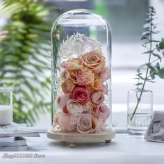 there is a glass dome with flowers in it