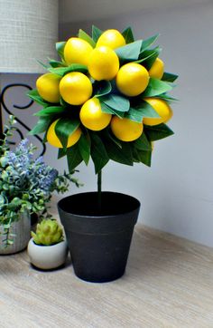 a potted plant with lemons in it on a table