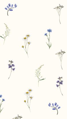 blue and yellow wildflowers on a white background seamless wallpaper with watercolor effect