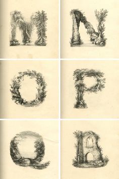 four different types of trees are shown in this drawing book, each with the letter e